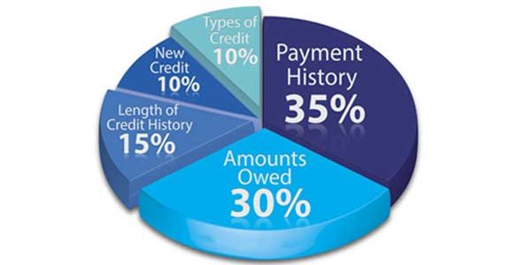 The percentages in the chart reflect how important each of the categories are in determining how your FICO Score is calculated.